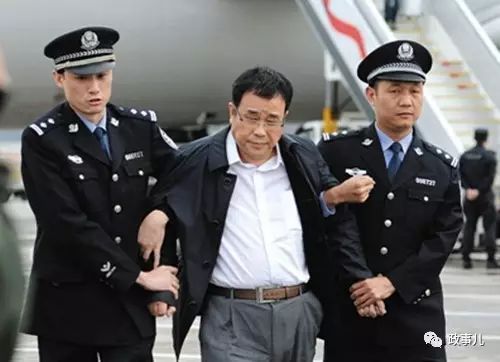 (李华波被遣返回国)