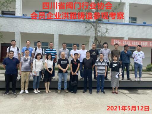 四川阀协：商务对接活动拉开序幕